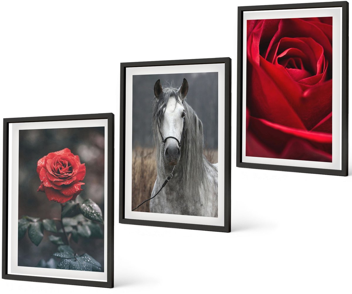 Coloray 3-Delige Schilderij Set - Rode Rozen En Een Paard In Een Grijze Omgeving - 40 x 60 cm - Stijlvolle Wanddecoratie - Interieur - Moderne Wanddecoratie