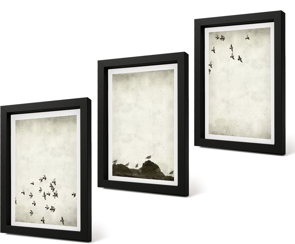 Coloray 4-Delige Schilderij Set - Vogels in vlucht, geschilderd in minimalistische stijl. - 20 x 30 cm - Decoratieve Schilderijen - Wanddecoratie - Hal