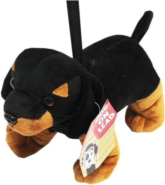 KandyToys TY9254 Hond op lood-4 geassorteerd - ShopVlot — afbeelding 2