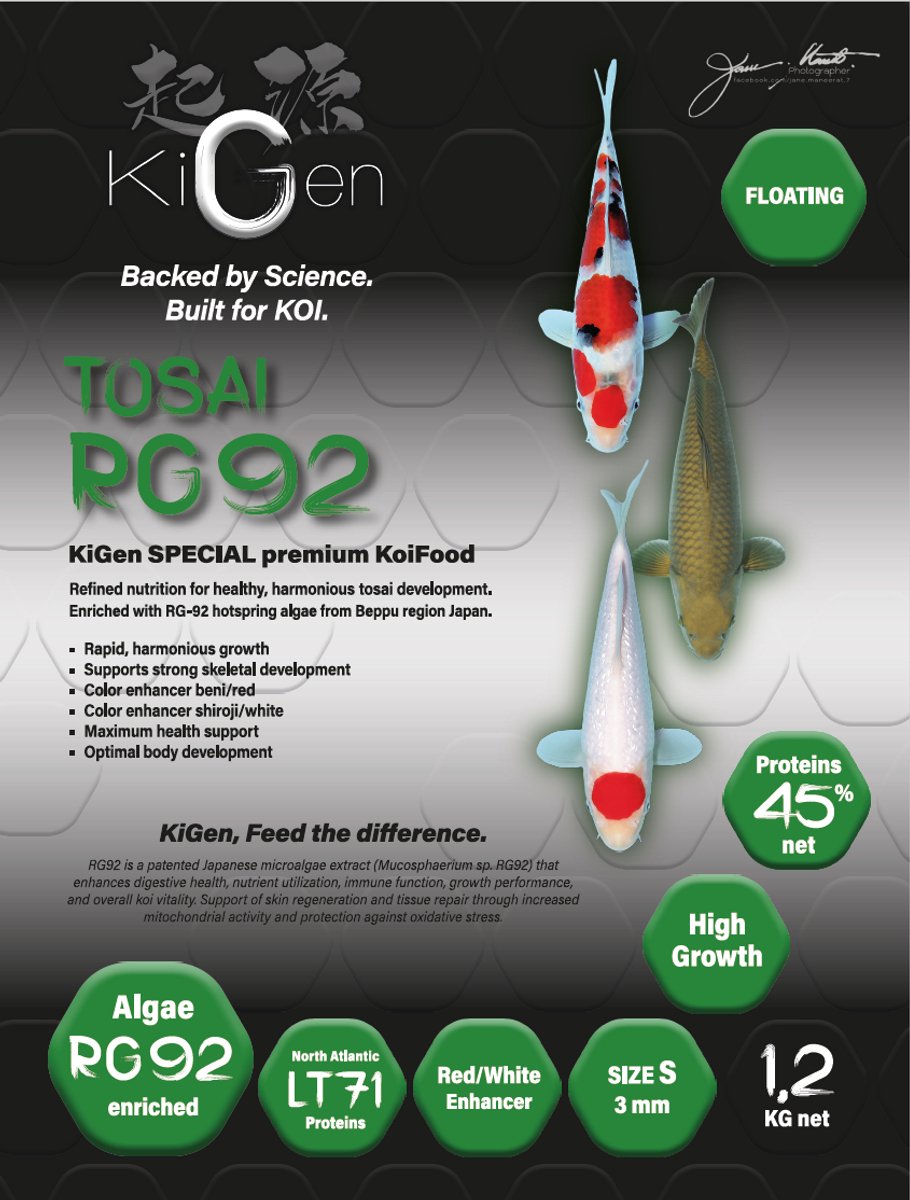 KiGen Koivoer Tosai RG92 3mm 1,2kg