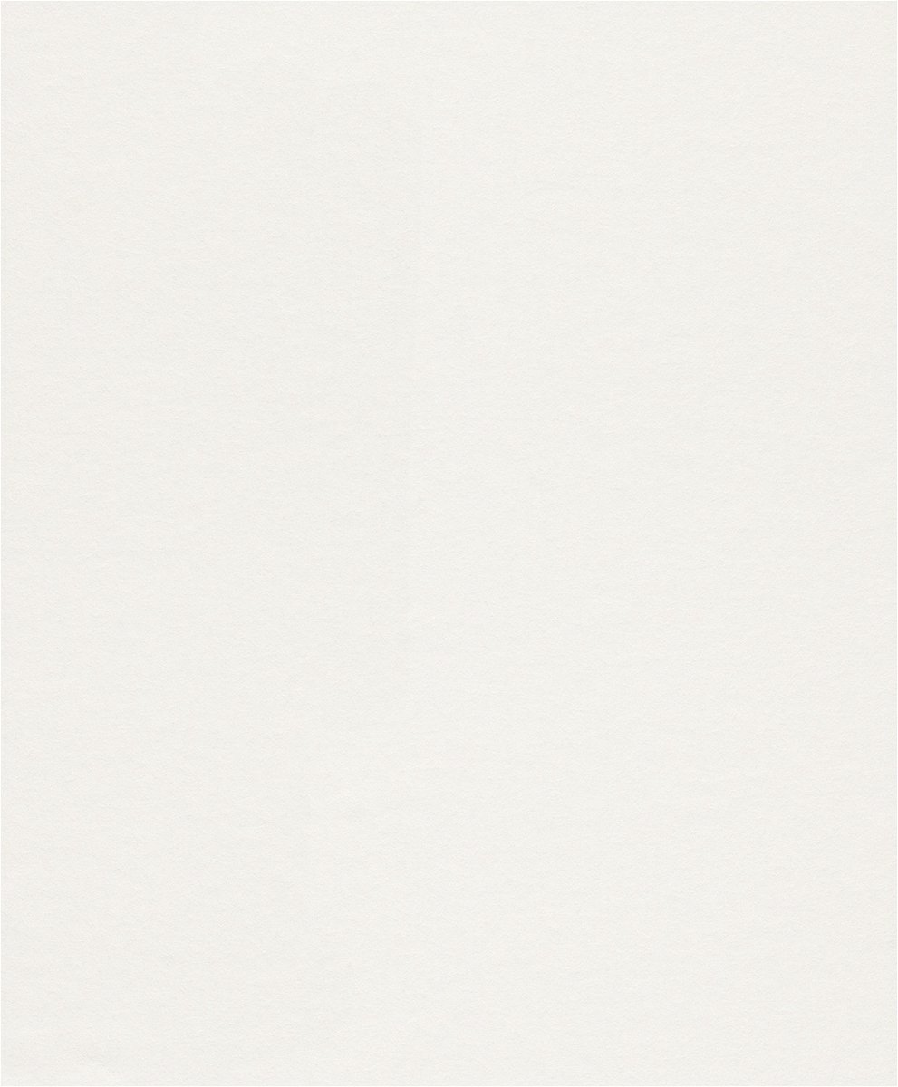 ‎Kleurflizelin behang Wallton Rasch 1.06x25m 177602‎