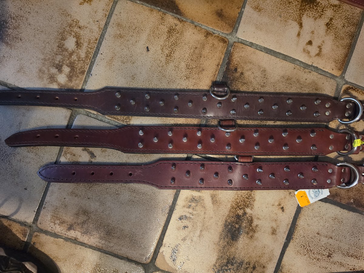 Hamilton Spike bulldog Halsband leer dubbel gestikt 60 mm,totale lengte 68 cm br 5 cm
