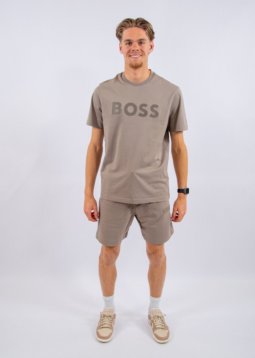 BOSS TS_Structure Logo