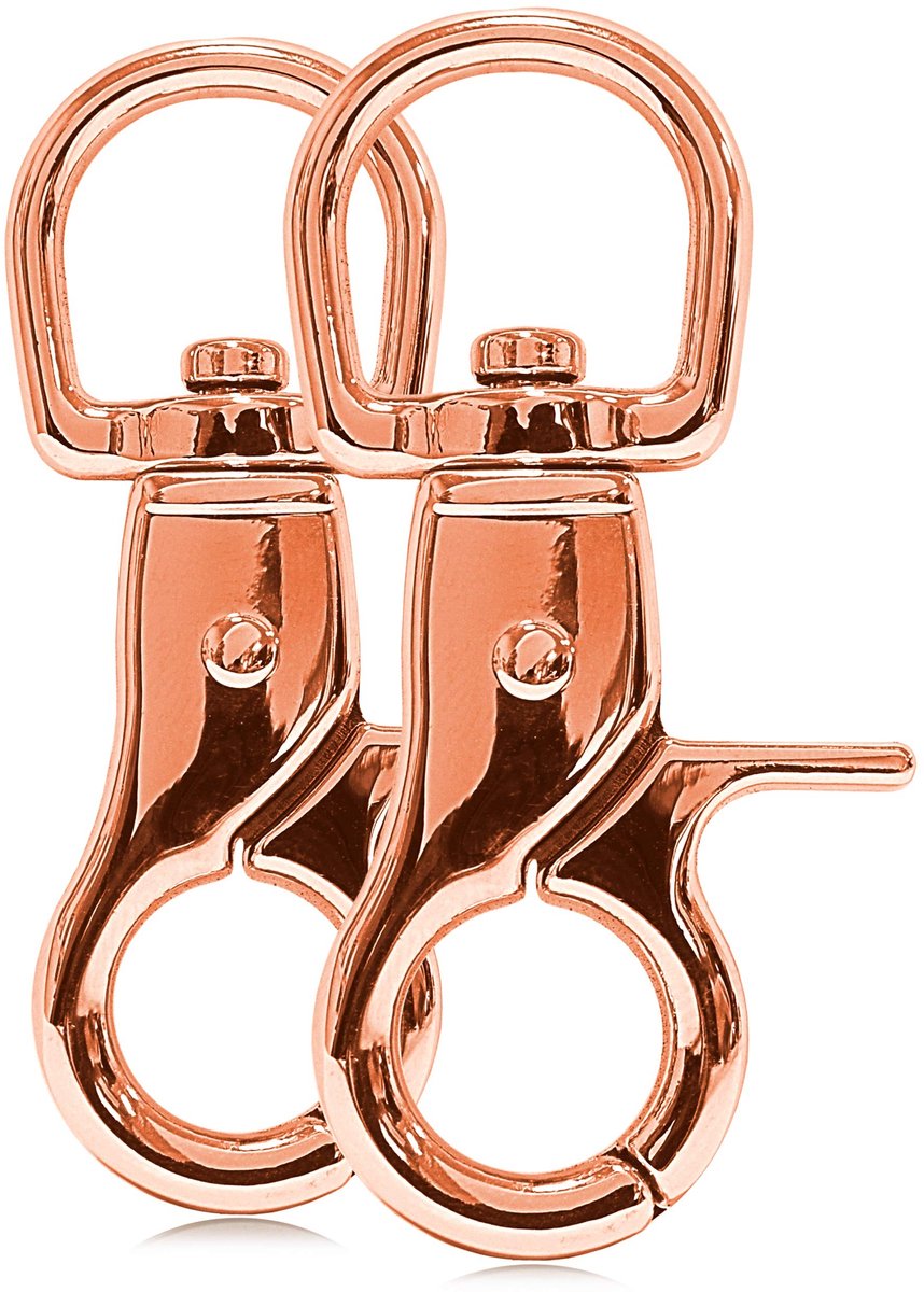 Solidchoice - Schaarmodel Karabijnhaak met Draaikop, 60mm, Set van 2