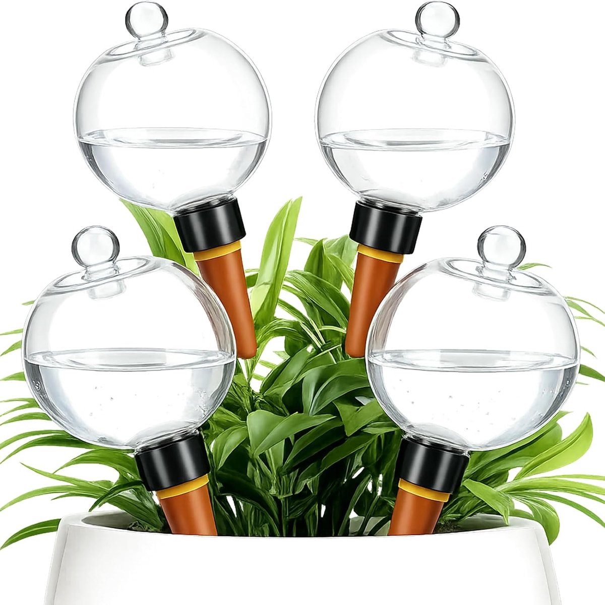 Thijox - Transparante Plantenbewateringsbollen 4 Stuks - Terracotta Kegel Plantenwaterer - Zelfbewaterend Voedingssysteem voor Binnen en Buiten - Auto