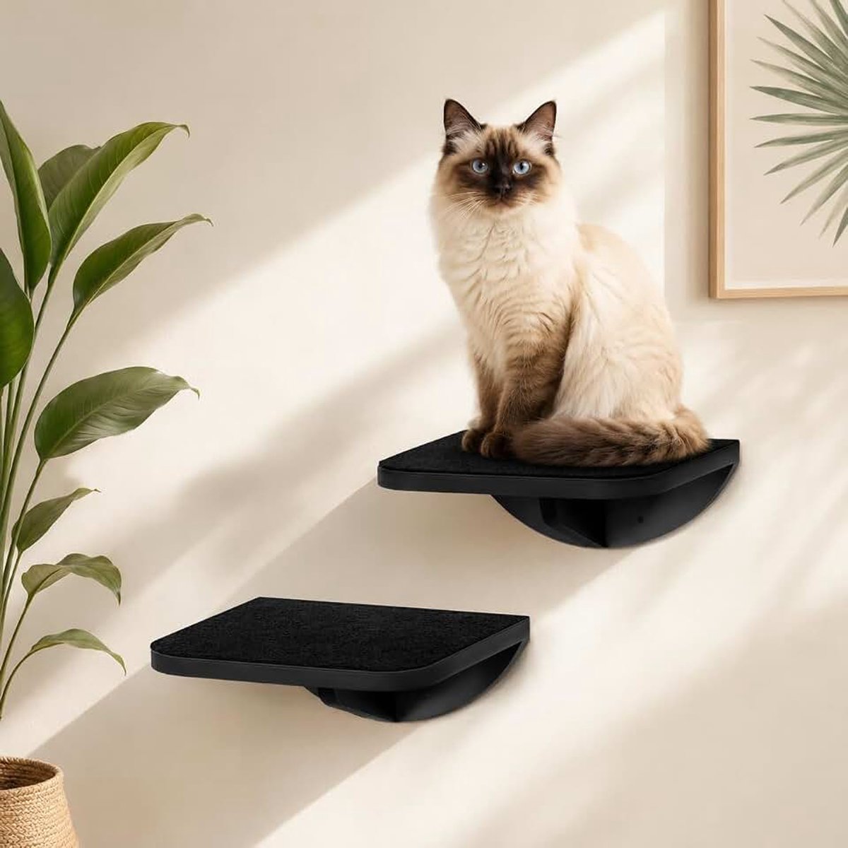 2-delige kattentrap met krabmat, wandgemonteerde kattentreden, houten klimplanken voor katten, trappen, laddermeubels voor baars, platformbenodigdheden