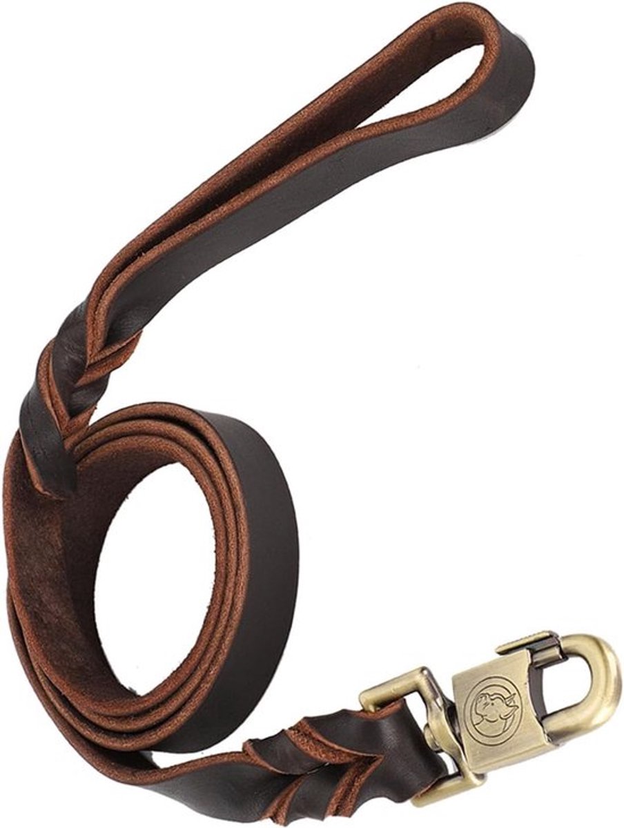 Zachte leren hondenhalsband en riem voor grote en middelgrote honden - 2,5 cm breed, 150 cm lang, duurzaam en comfortabel
