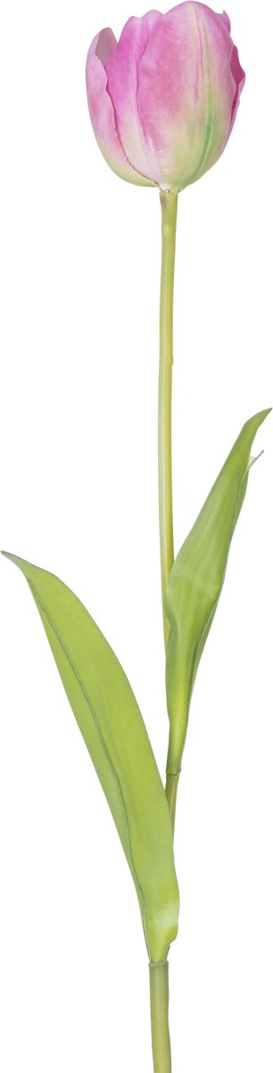 Easyplants | Kunstbloem Franse Tulp 63 cm roze | Zijde | Nepbloemen | roze | Onderhoudsvrij | Kant-en-klaar