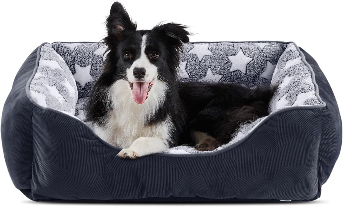 LNMsolutions® Hondenmand - Hondenkussen - Hondensofa - Blauw - 76cm x 61cm x 23cm