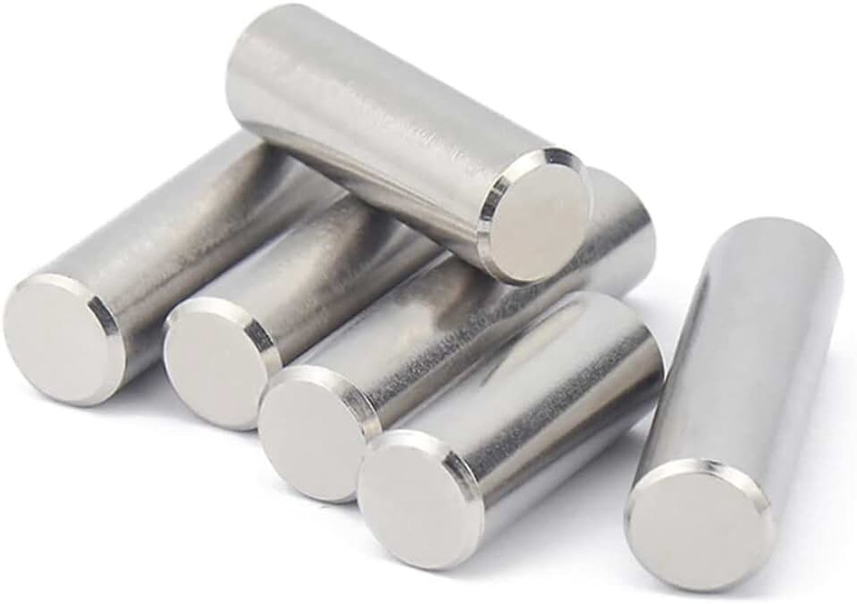 Roestvrijstalen Plankpennen Cilindrische Pennen voor Meubels, Kast, Plank (M4×40mm, 20 pcs)