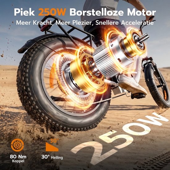URLIFE E20 20" x 3 elektrische fiets met uitneembare 48 V 13 Ah-accu — afbeelding 4