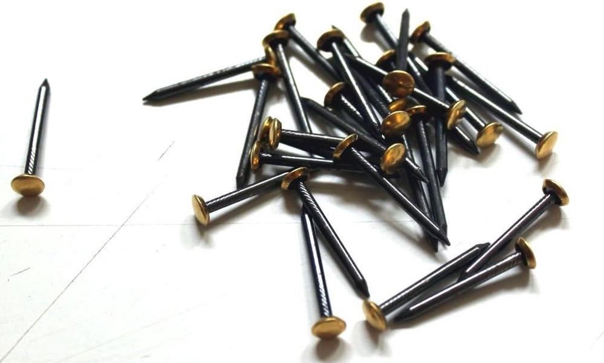 Stalen Spijkers - Nagels Bevestiging - Muur Bevestigen - Gehard Messing Kop - 30 mm - Messing