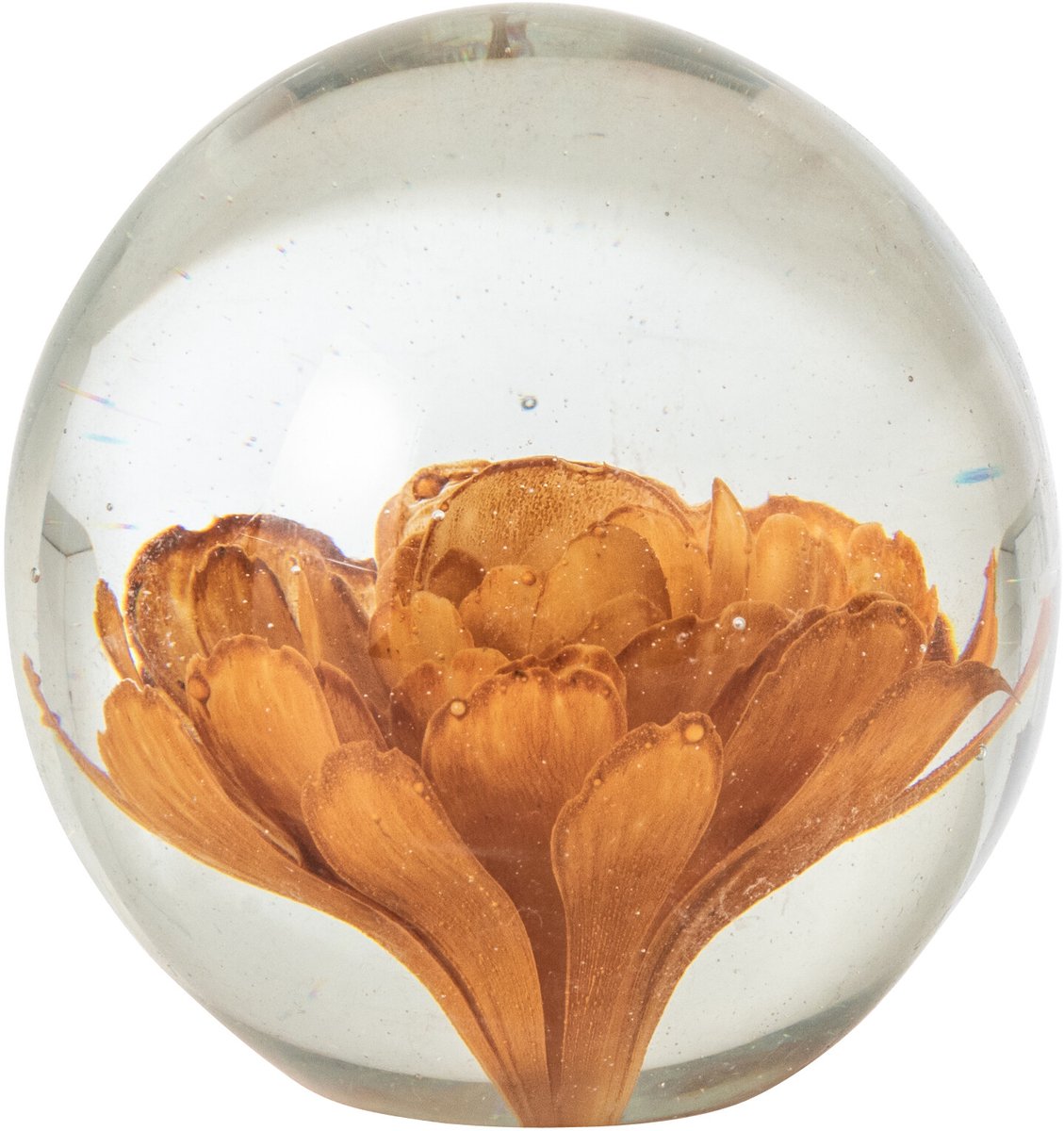 J-Line presse-papier Bal Bloemen - glas - brons - medium