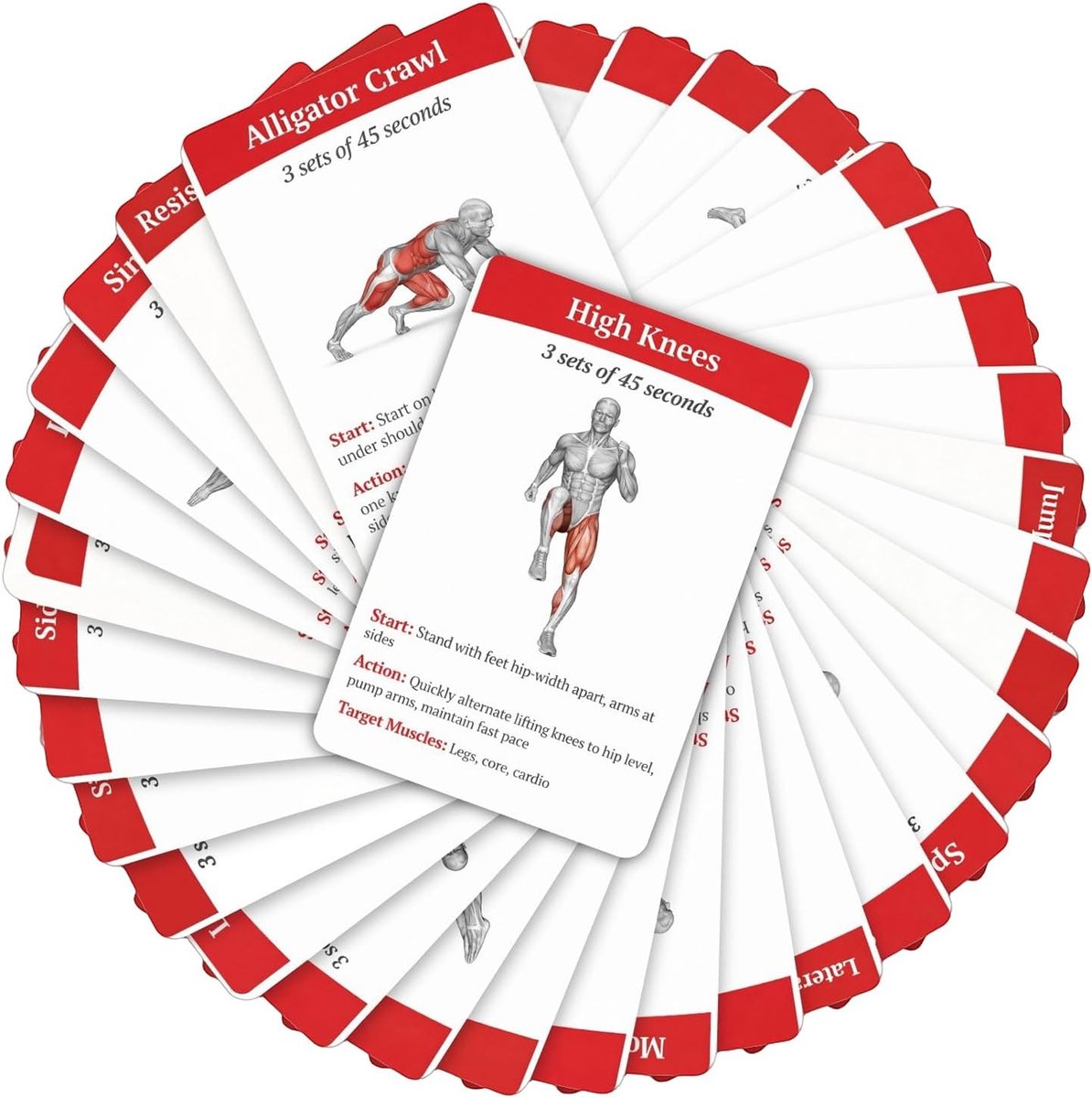 Workoutkaarten - Fitness Gids - Thuis Fitness - 36 Oefeningen - Compact - Afbeeldingen