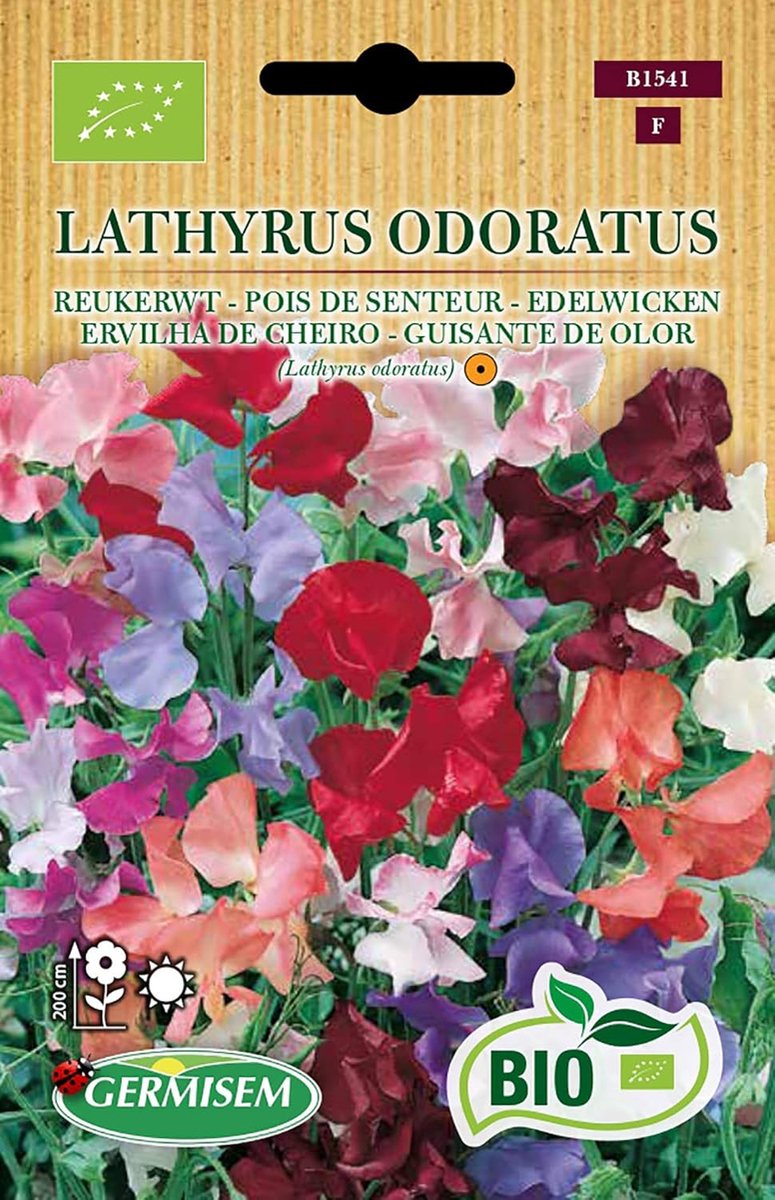 SnelShoppen - Biologische Lathyrus Odoratus Zoete Erwt Zaden 3g - Geurende Klimplant voor Tuin, Balkon en Terras - Makkelijk te Teelt in Potten