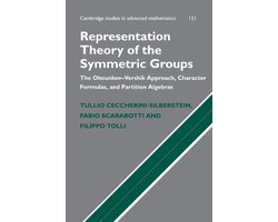 Representation Theory Symmetric Groups