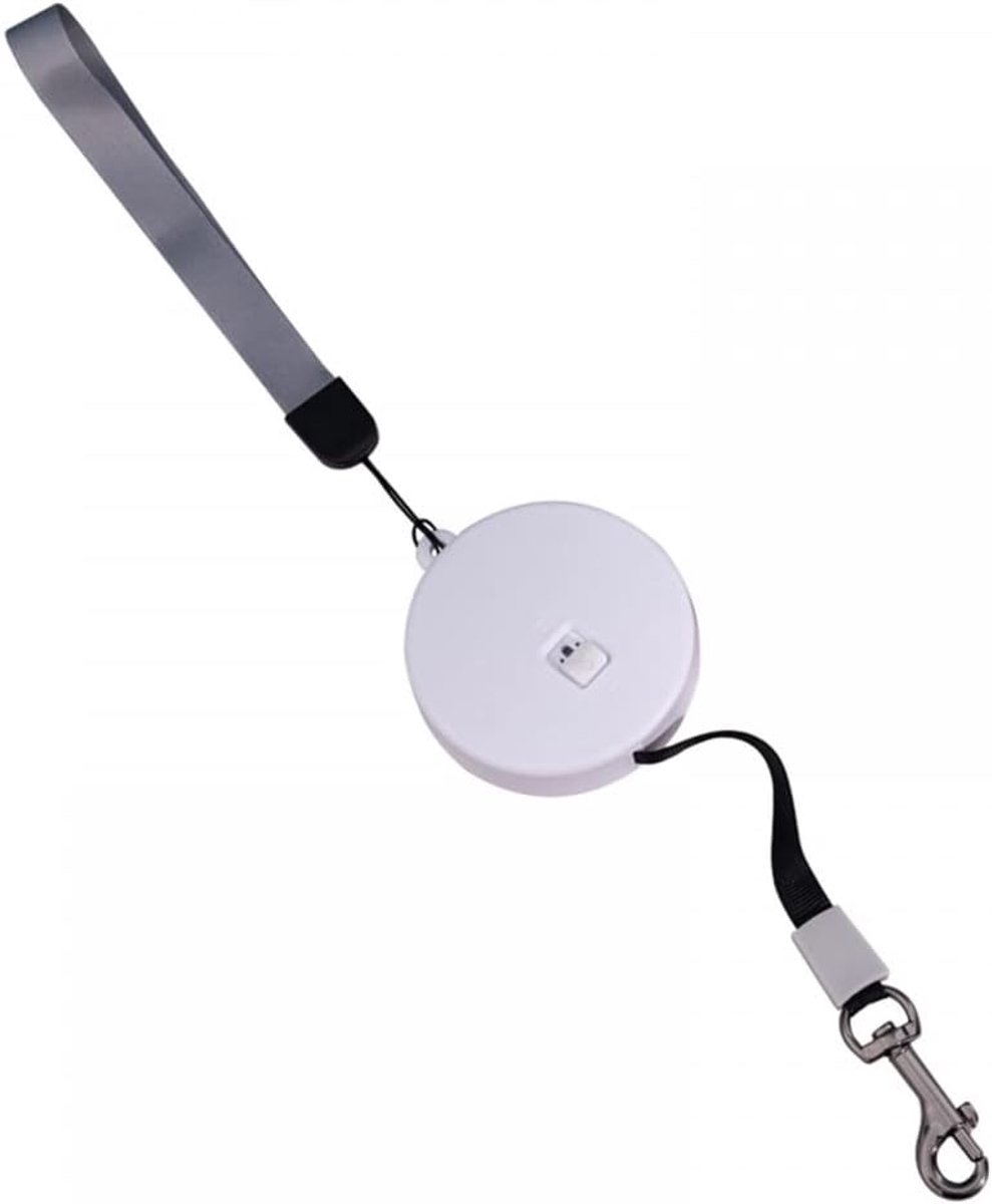 SnelShoppen - Retractable Dog Lead 3m/9.8ft voor Kleine Honden, Draagbare Automatische Hondenlijn voor Huisdieren tot 5kg, Geschikt voor Puppy’s, Katt