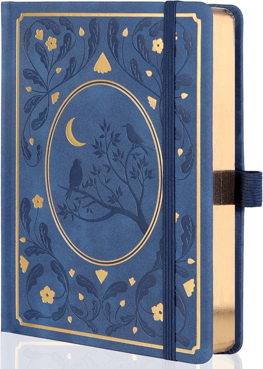 SnelShoppen - A5 Hardcover Dot Notebooks voor Vrouwen - 160gsm Dikte, 190 Genummerde Pagina's, Planner Organisatie, Kleurige Hoes, Perfect voor Notiti