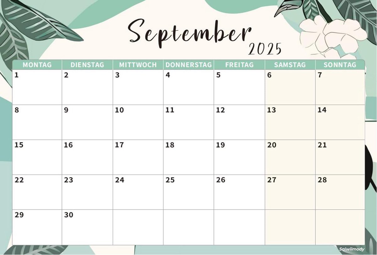 SnelShoppen - Muurkalender 2026 - Familieplanner 16 Maanden - Van September 2025 tot December 2026 - Met Feestdagen en Notitieruimte - Kleurrijke Wand