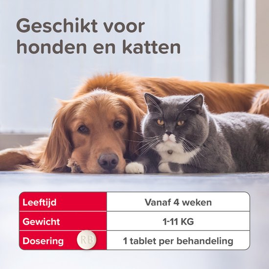 Beaphar Vlo Kill - Vlooien tabletten kleine hond/kat - Tot 11kg - 6 Tabletten