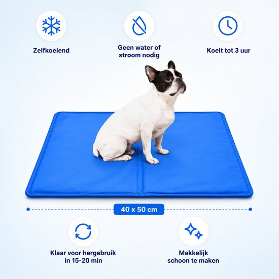 Franse bulldog op een blauwe koelmat van 40 x 50 cm.