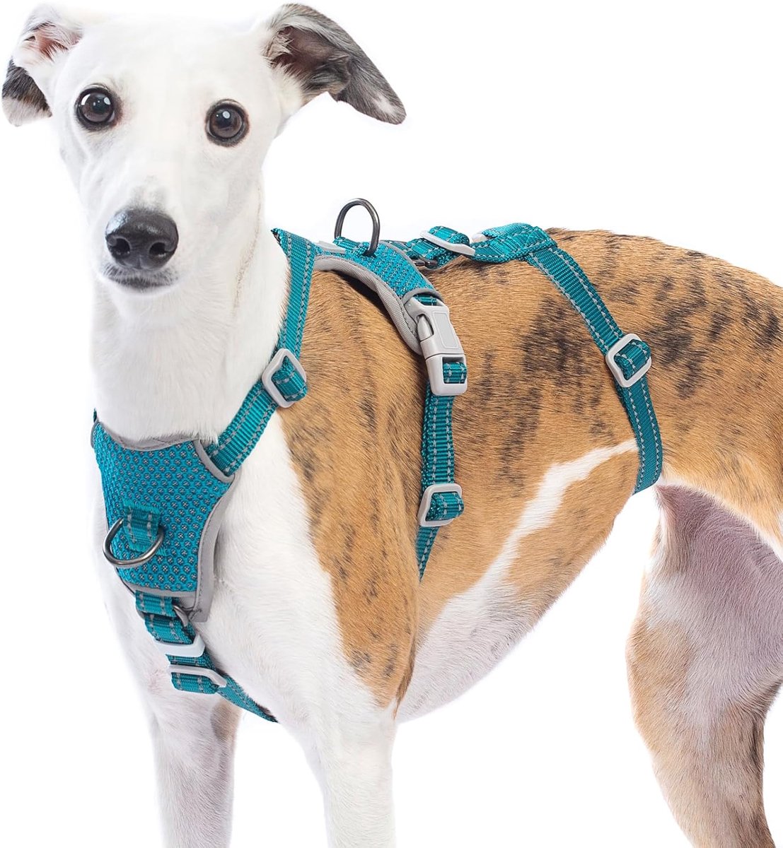 SnelShoppen - Medium Escape Free Dog Harness, Anti-Pull Reflective Hondentuigje, Veilig 3 Punten Vest voor Kleine Dieren, Verstelbaar, voor Grote Hond