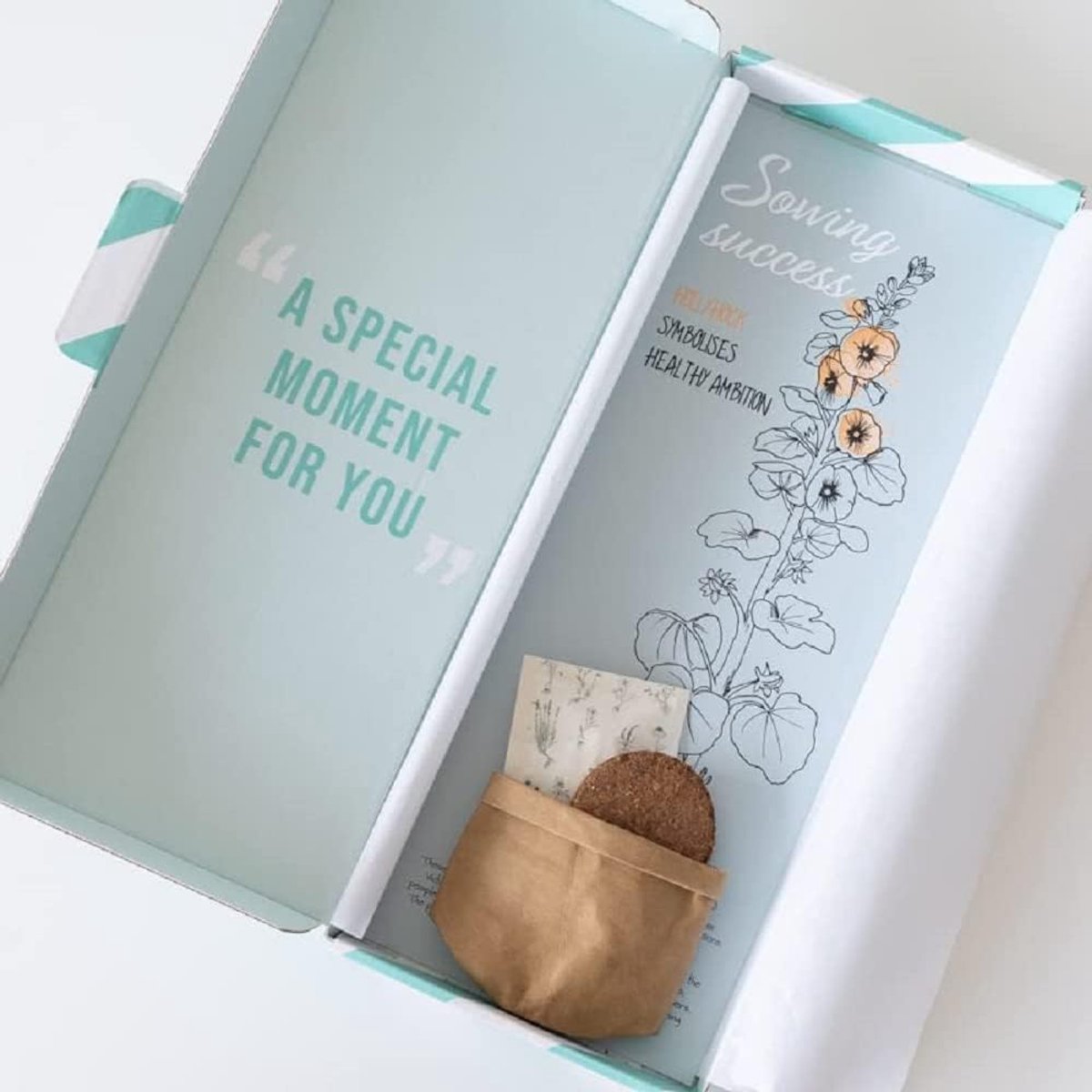 SnelShoppen - Seeds Success Sowing - Uniek mailbox cadeau met zaden in mini leren tas voor tuin, balkon, zomerbloemen, 20 cm hoogte, perfect voor elke