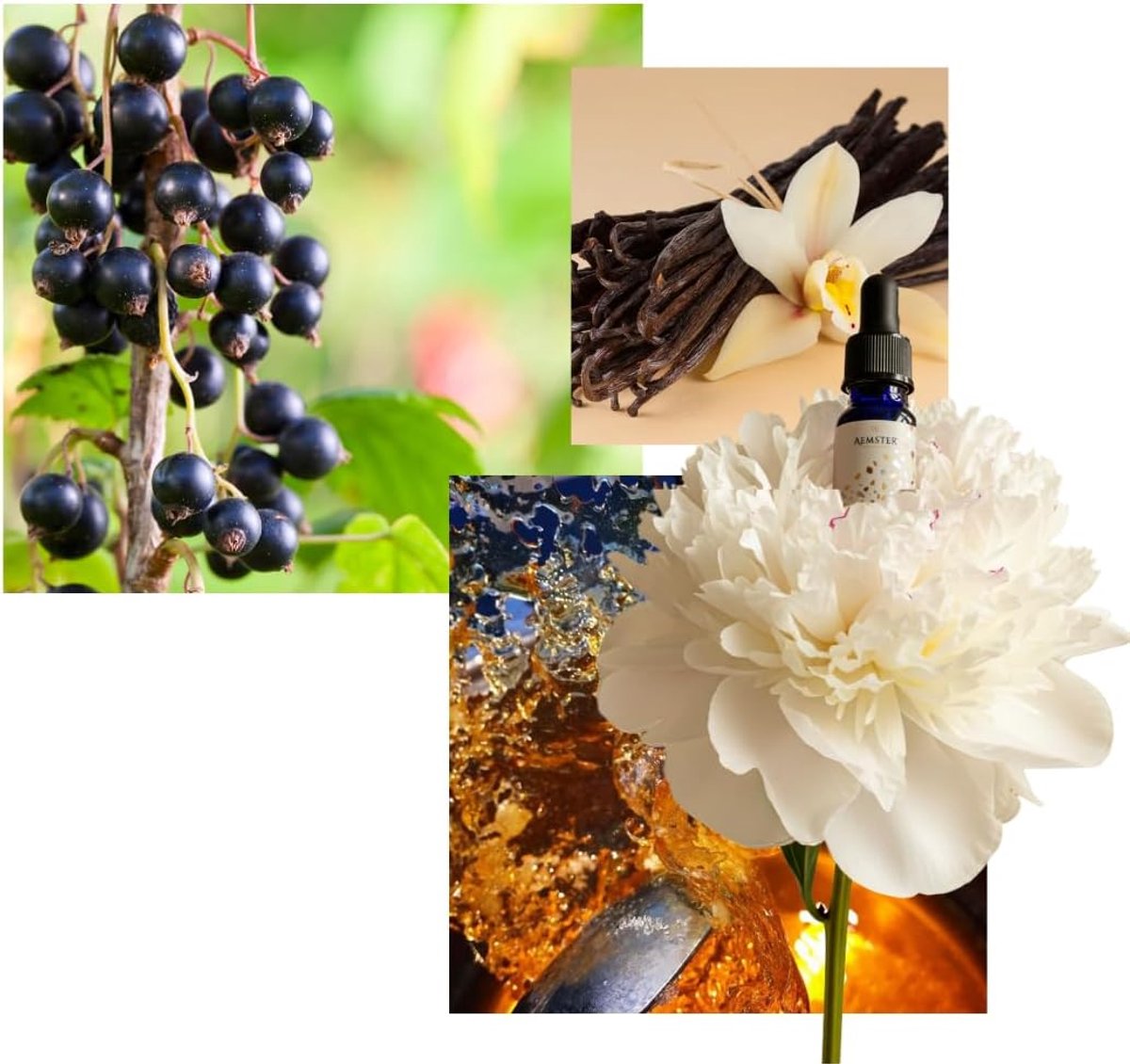 SnelShoppen - Vanilla Valley Geurolie (15ml) - Home Perfume voor Aroma Diffusers - Natuurlijke Vanille Geur voor Thuis, Ontspanning en Gezelligheid