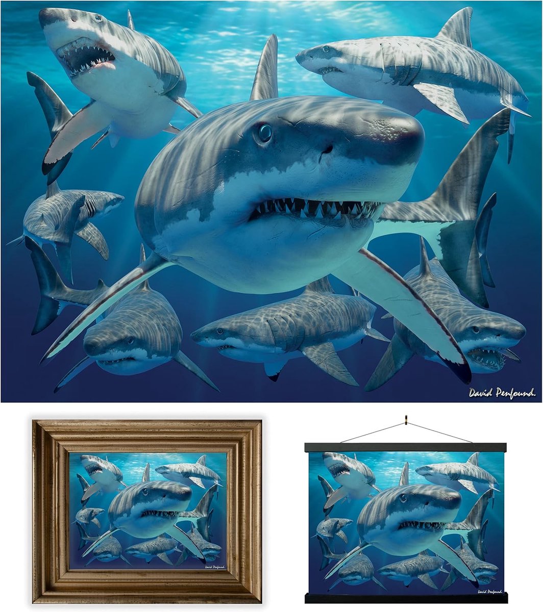 SnelShoppen - 3D Lenticular Wanddecoratie - Grote Witte Haai - Ongeframeerd 3D Ocean Poster - Originele Kunstwerk - 30x40cm - Kleurrijke Muurdecoratie