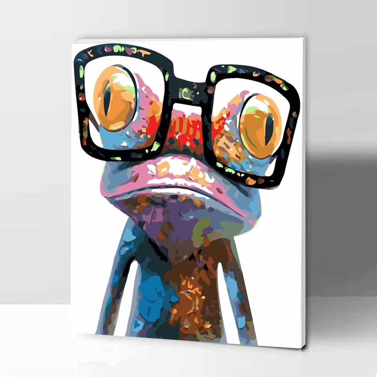 SnelShoppen - Schilderen op Nummer voor Volwassenen Kinderen met Lijst, Dieren Schilderkit 12x16 Inch - Kleurrijke Kikker