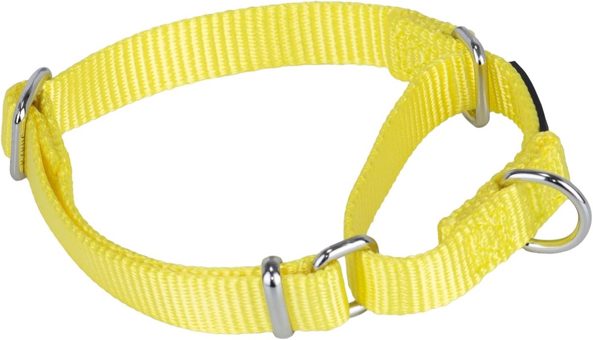 SnelShoppen - Hyhug Martingale Nylon Hondenhalsband - Duurzame Halsband voor Grote, Middelgrote en Kleine Honden - Verstelbaar, Luminous Geel voor Hik