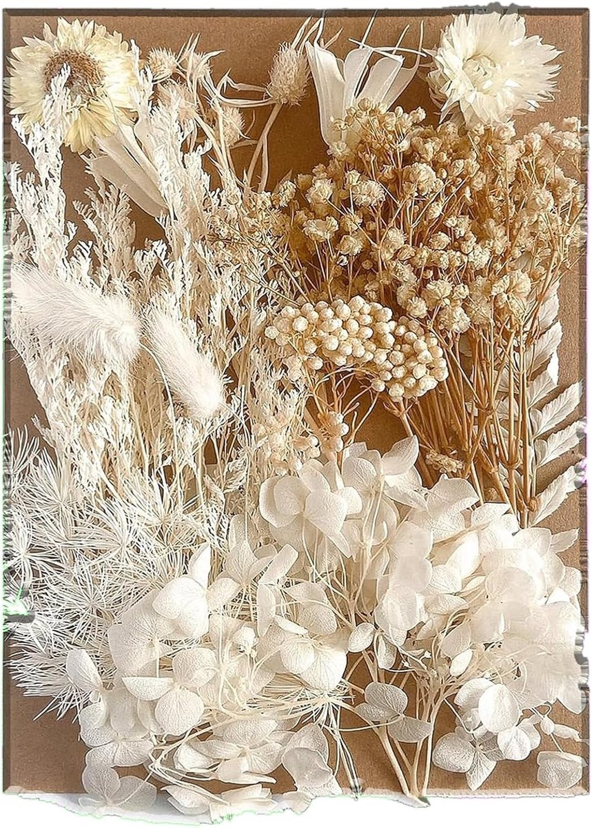Natuurlijke Gedroogde Bloemen voor Creatieve Projecten, DIY Epoxy Resin, Scrapbook Accessoires en Bruiloft Decoratie (Wit)