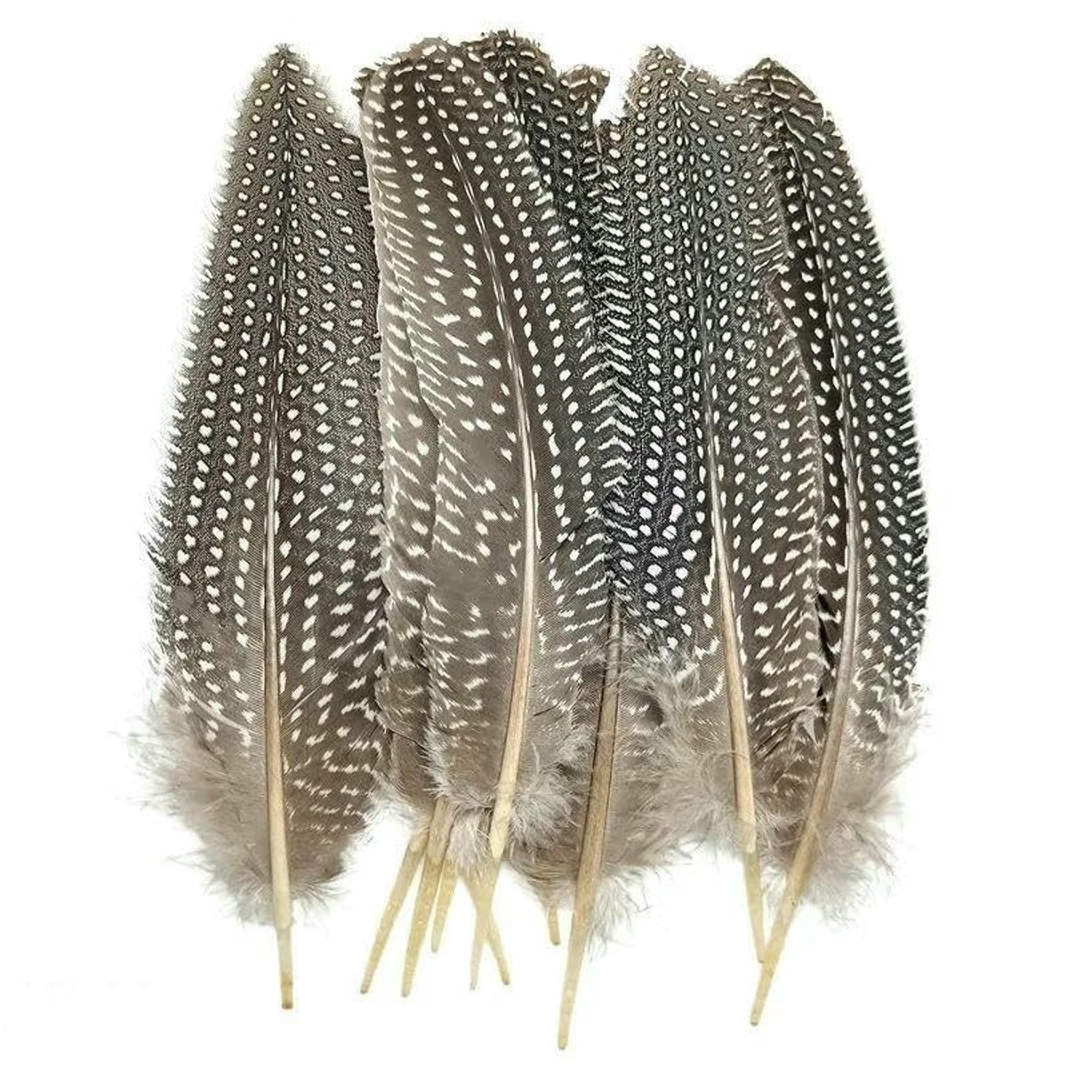 Natuurlijke Fazantenveren - 20-500 Stuks - 15-20 cm