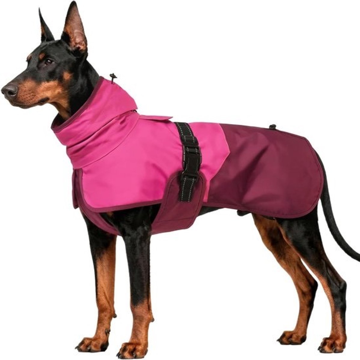 Honden Regenjas - Hondenjas Waterdicht - Hond Uitlaten - Reflecterende Strepen - 3XL - Magenta