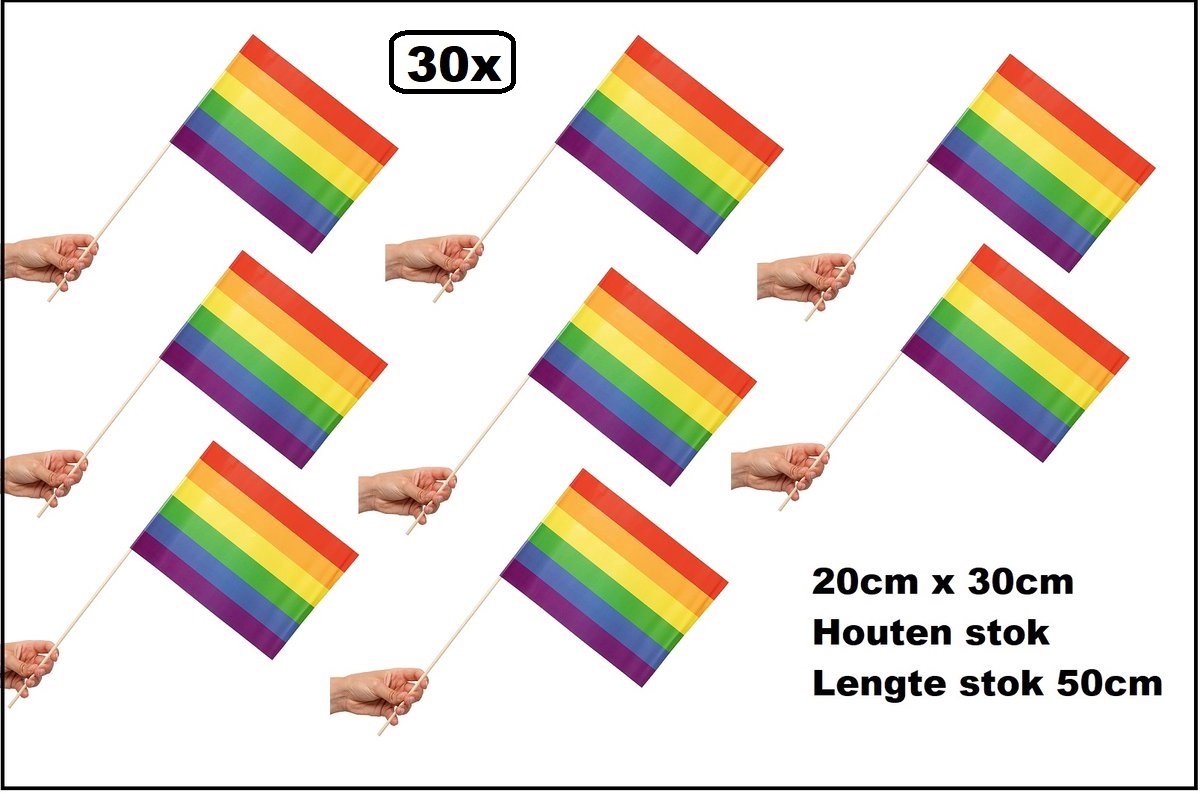 30 stuks Zwaaivlaggetjes op stok Regenboog 20cm x 30cm - lengte stok 50cm - Zwaai vlaggetjes Pride thema feest rainbow festival uitdeel