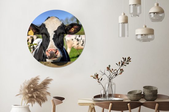 WallCircle - Cercle Mural - Cercle Mural - Vache - Clôture - Herbe - Animaux - Aluminium - Dibond - 90x90 cm - Intérieur et Extérieur