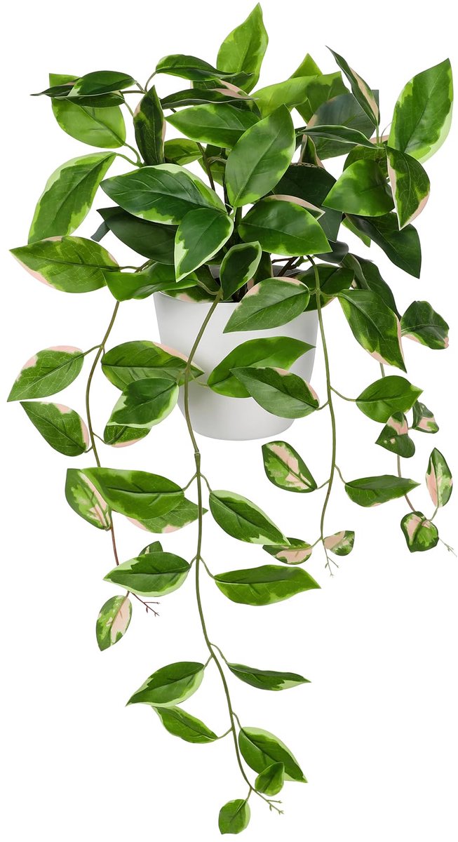 Kunstplant, hangende hangplant, lijkt op echte kunstplant, decoratie, moderne decoratieve planten, potplanten, plastic planten, groene planten voor thuis, kantoor, badkamer, keuken en