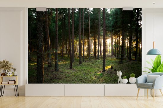 Papier Peint - Papiers Papier peint photo Arbre - Soleil - Herbe - Largeur 330 cm x Hauteur 220 cm