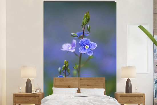 Papier peint photo de veroniques violettes sur fond flou violet et vert, au-dessus d'un lit avec une tête de lit en bois.