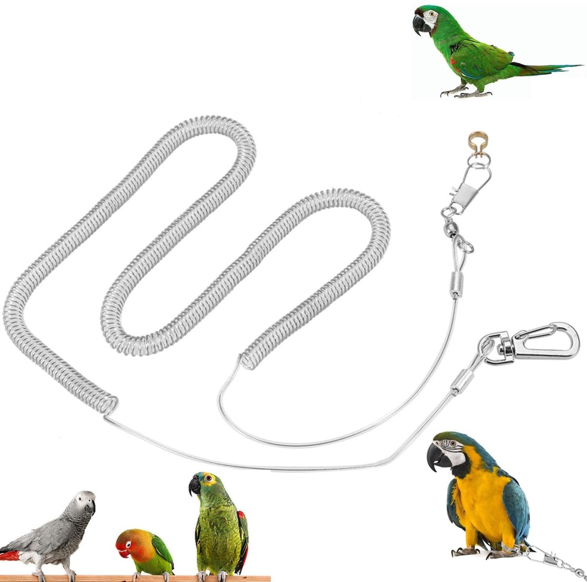 Dailygoods- Harnas Papegaai 6 m - Anti-bite Leash - Vogeltraining - Huisdier Leash - Diameter 4,5/6,5/8,5 mm - Ideaal voor Wandelen - Vogelharnas