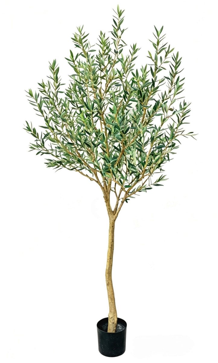 Kunst Olijfboom 240cm | Hoogwaardige Kunstplant | Nep Olijfboom