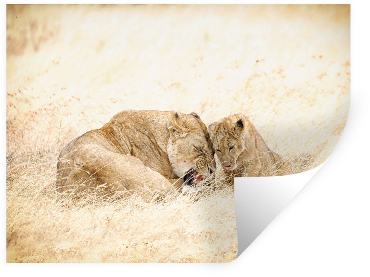 Muurstickers - Sticker Folie - Moeder leeuw met welp in het gras van de Ngorongoro krater 