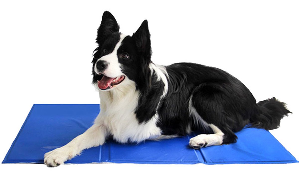 LISM-Koelmat voor huisdieren, geschikt voor zowel honden als katten, groot formaat 50 x 90 cm