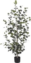 Mica Decorations Eucalyptus Kunstplant H150 x Ø30 cm - Kunstplant in Pot - Onderhoudsvrije Kamerplant voor Binnen - Natuurlijke Uitstraling - Inclusief Zwarte Bloempot - Groen