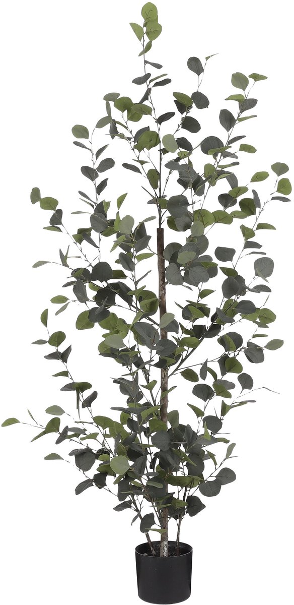 Mica Decorations Eucalyptus Kunstplant H150 x Ø30 cm - Kunstplant in Pot - Onderhoudsvrije Kamerplant voor Binnen - Natuurlijke Uitstraling - Inclusief Zwarte Bloempot - Groen