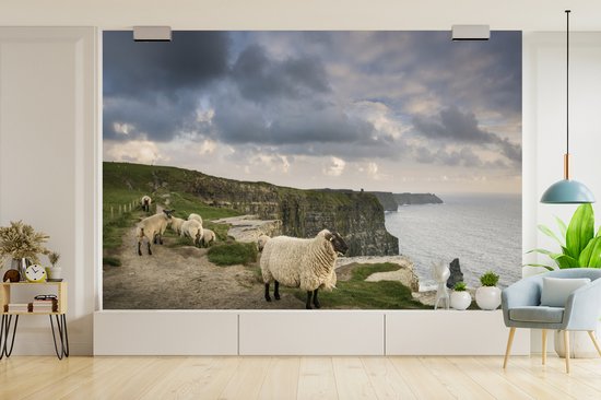 Behang - Fotobehang Schapen in Ierland - Breedte 360 cm x hoogte 240 cm
