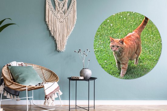 WallCircle - Cercle mural - Cercle mural - Chat - Rouge - Tomcat - Filles - Enfants - Garçons - Enfant - Aluminium - Dibond - 140x140 cm - Intérieur et Extérieur