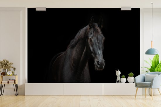 Moderne kamer met fotobehang van een zwart paard boven een wit meubelstuk en een blauwe fauteuil.