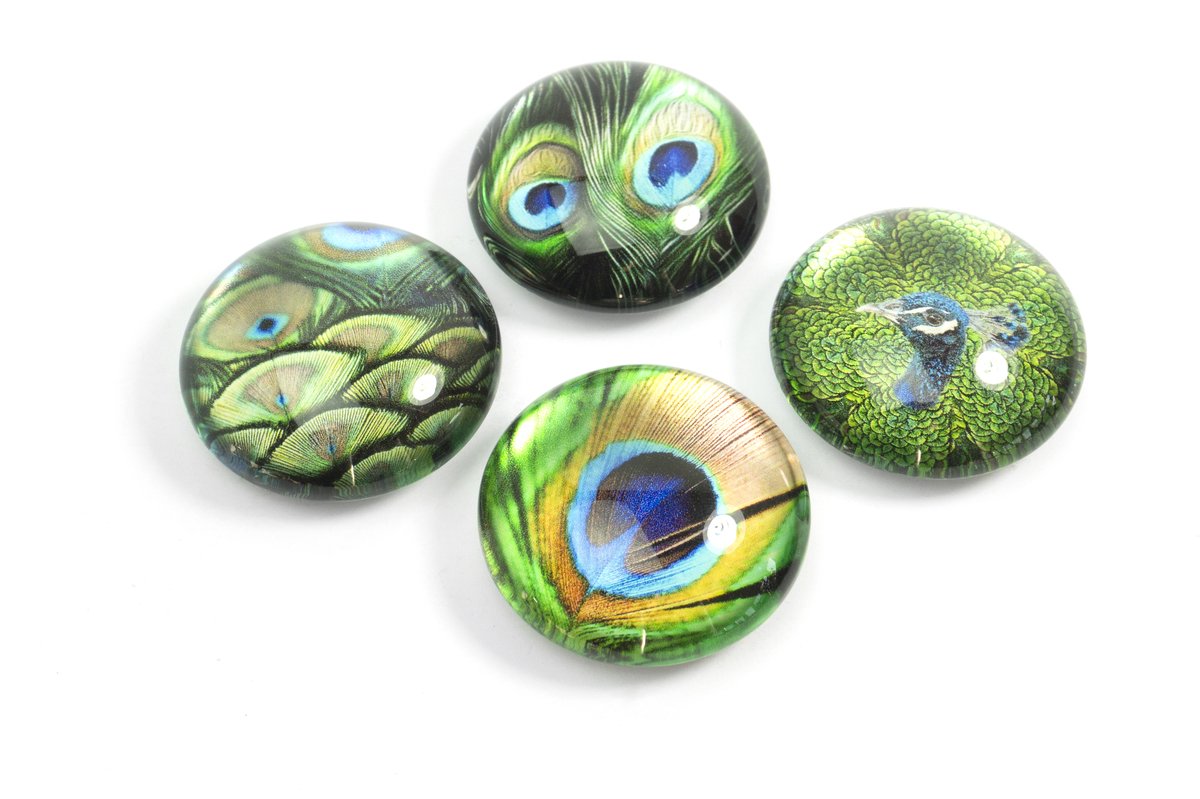 Magnet Eye - Peacock - set of 4 assorted