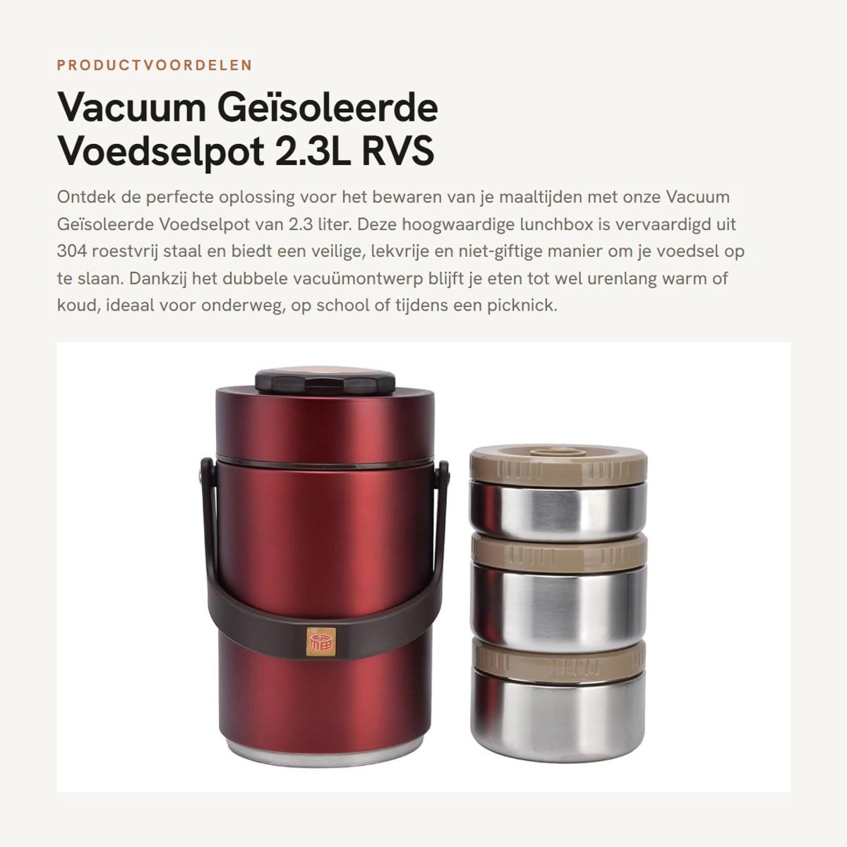 Dailygoods- Lunchbox 2.3L - Roestvrij Staal - Lekvrij - Dubbel Geïsoleerd - Voedselcontainer - Veilig en Duurzaam